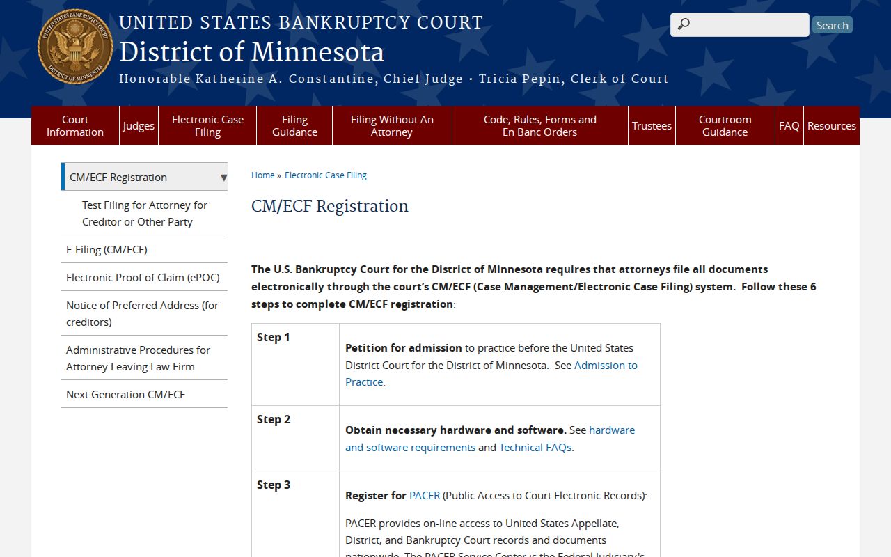 Nicollet County court records bankruptcy access reference